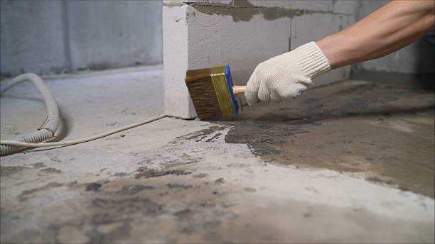 Top rated local Basement Waterproofing specialists in Raymond, IL